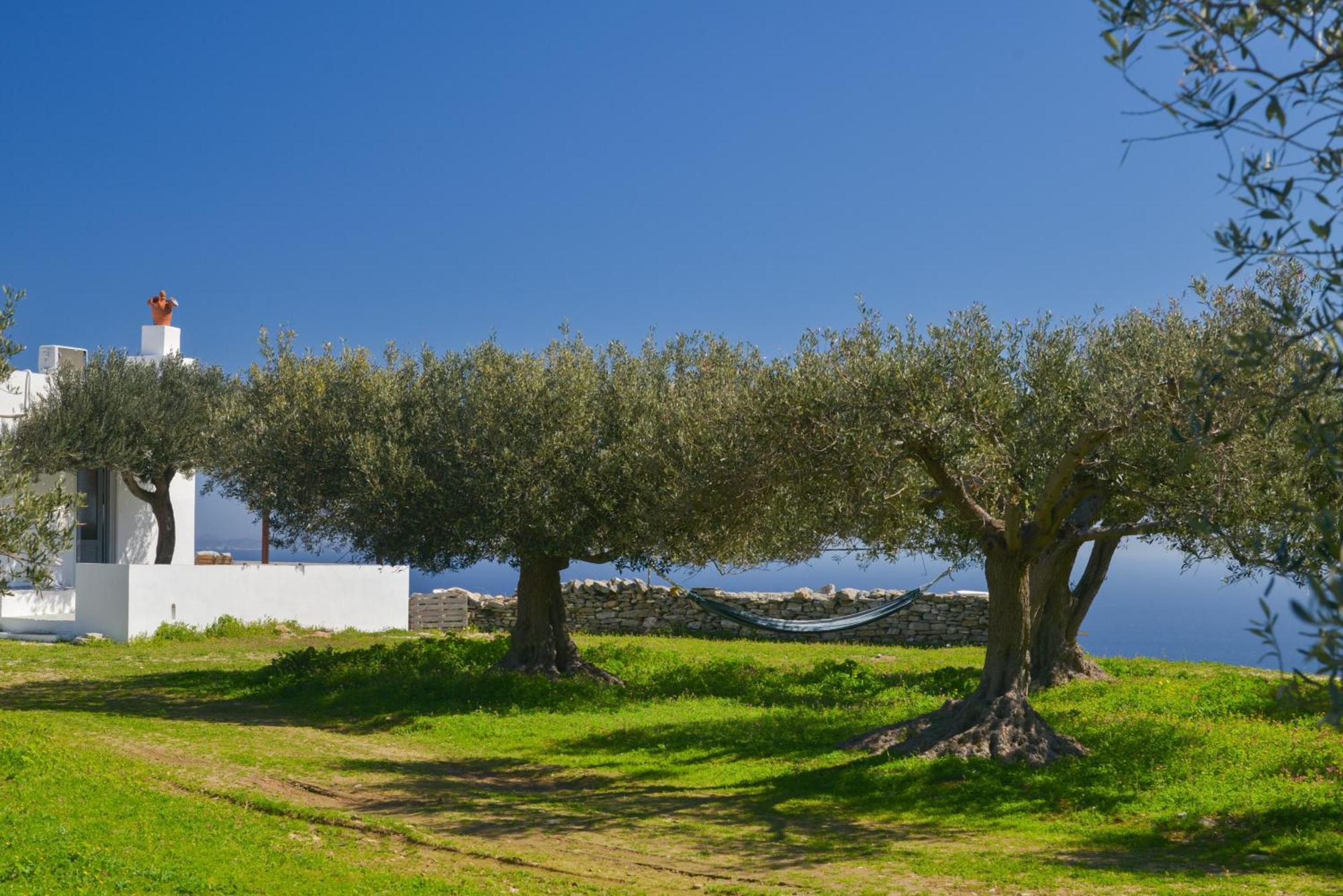 Aggelis Holiday home
