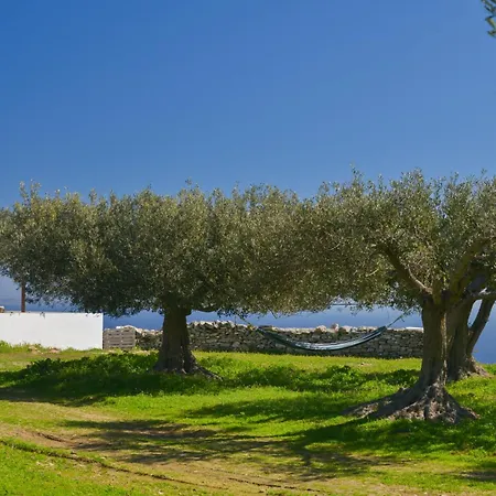 Aggelis Villa Artemonas Exterior photo